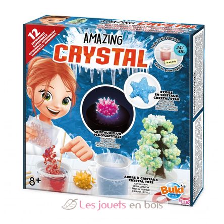 Amazing Crystal Cristaux 12 expériences - Buki France 2165 - Jeu éducatif  scientifique pour enfant