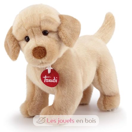 Peluche Chien Labrador 19 cm TRU-22872 Trudi 1