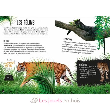 La Jungle - L'éléphant 3D SJ-2723 Sassi Junior 3