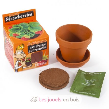 Je fais pousser mon Fraisier RC-027913 Radis et Capucine 3