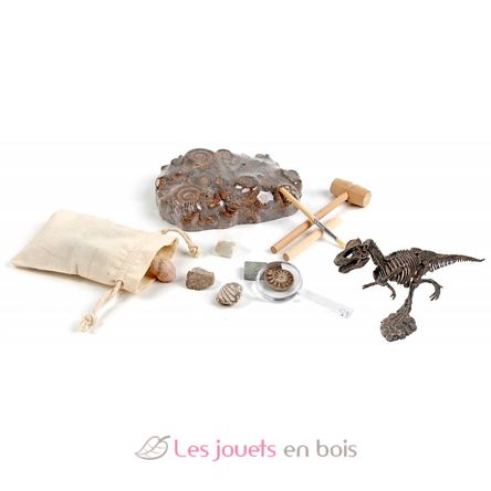 Kit Paleo - A travers les âges UL2806 Ulysse 2