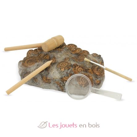 Kit Paleo - A travers les âges UL2806 Ulysse 3