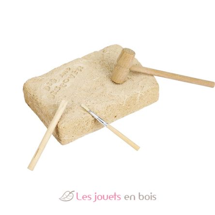 kit d'archéologue - A travers les âges Ulysse - 10,90€