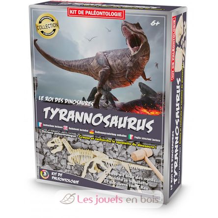 Kits de dinosaure en bois