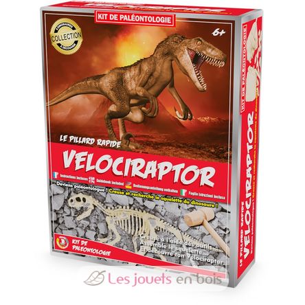 Kit Paleo - Vélociraptor UL2822 Ulysse 1