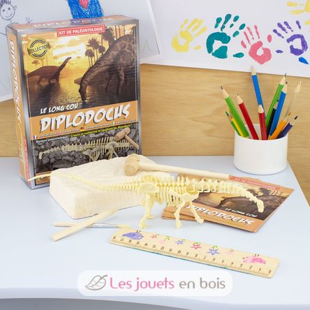 Kit Paleo - Diplodocus UL2824 Ulysse 3