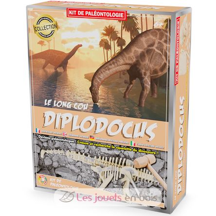 Kit Paleo - Diplodocus UL2824 Ulysse 1