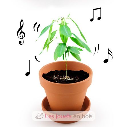Je fais pousser ma Plante qui danse RC-028733 Radis et Capucine 2