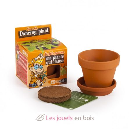 Je fais pousser ma Plante qui danse RC-028733 Radis et Capucine 4