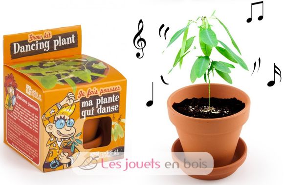 Je fais pousser ma Plante qui danse RC-028733 Radis et Capucine 1