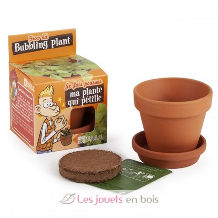 Je fais pousser ma Plante qui pétille RC-029637 Radis et Capucine 2