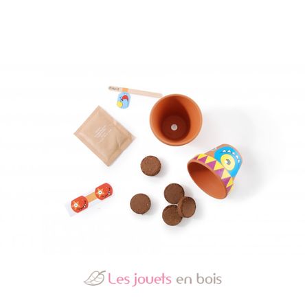 Coffret DIY - Je fabrique mes pots monstres RC-032785 Radis et Capucine 2