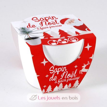 Pot céramique blanc 8 cm - Sapin de Noël RC-032835 Radis et Capucine 2