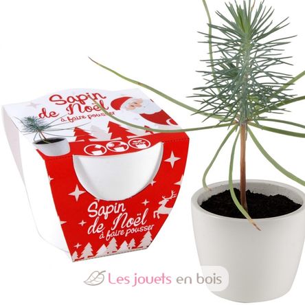 Pot céramique blanc 8 cm - Sapin de Noël RC-032835 Radis et Capucine 1