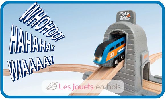 Train de voyageur radiocommandé - Brio - Mini véhicules et circuits - Jeux  d'imagination