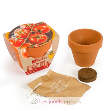 Tomate cerise bio en pot de culture RC-003565 Radis et Capucine 2