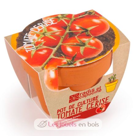 Tomate cerise bio en pot de culture RC-003565 Radis et Capucine 3