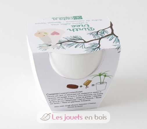 Pot céramique blanc 8 cm - Arbre de naissance RC-036595 Radis et Capucine 3