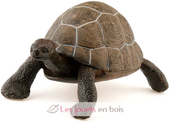 Figurine Tortue PA50013-2906 Papo 3