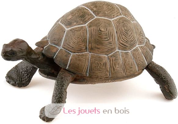 Figurine Tortue PA50013-2906 Papo 2