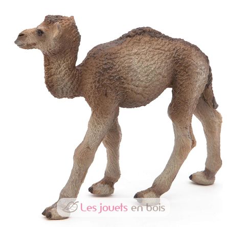 Figurine Bébé dromadaire PA50166-5276 Papo 4