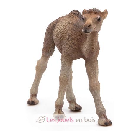 Figurine Bébé dromadaire PA50166-5276 Papo 3