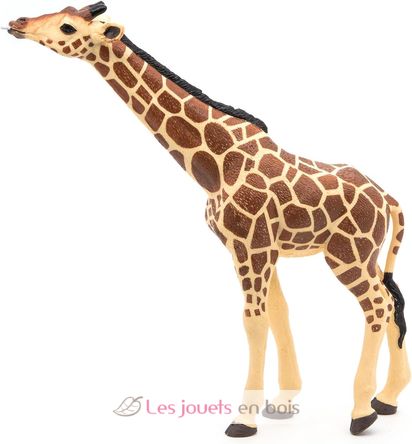 Figurine Girafe tête levée PA50236 Papo 6