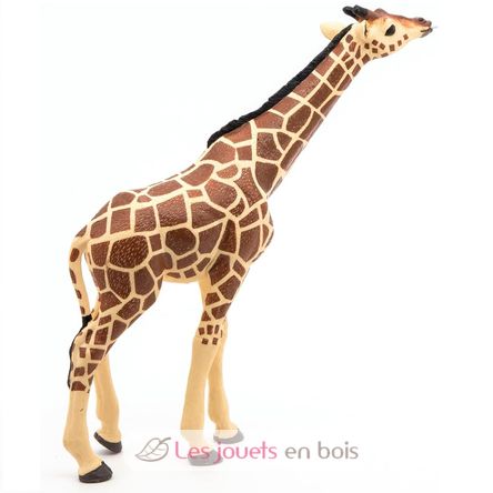 Figurine Girafe tête levée PA50236 Papo 3