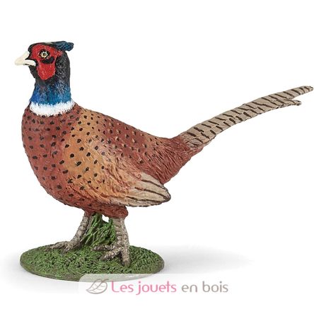 Figurine Faisan PA-50263 Papo 2