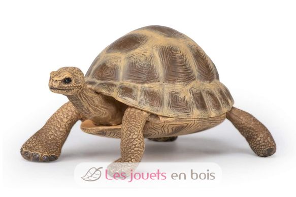 Figurine Tortue d'Hermann PA-50264 Papo 4