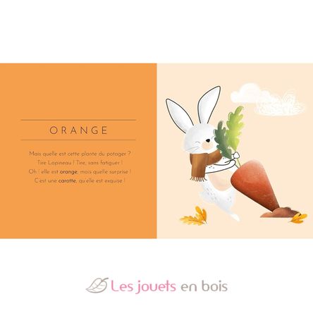 Livre Touche à tout - Les Couleurs SJ-5569 Sassi Junior 2