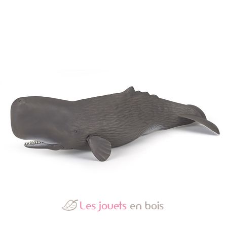 Figurine Cachalot PA56021 Papo 2