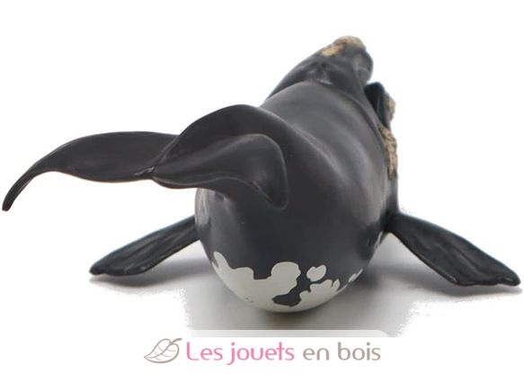 Figurine jeune baleine Franche PA-56057 Papo 3