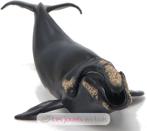 Figurine jeune baleine Franche PA-56057 Papo 2
