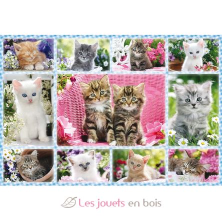 Puzzle Chatons 100 pcs S-56135 Schmidt Spiele 3