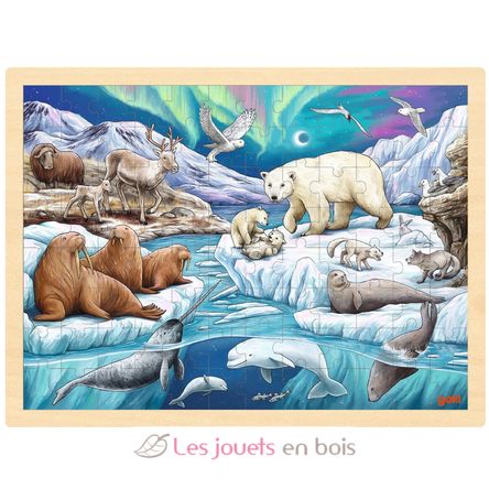 Puzzle Nuit polaire GK57328 Goki 1