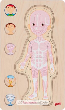 Puzzle corps humain, garçon GK57361 Goki 4