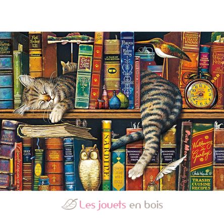 Puzzle Frédéric le chat lettré 1000 pcs S-59991 Schmidt Spiele 3