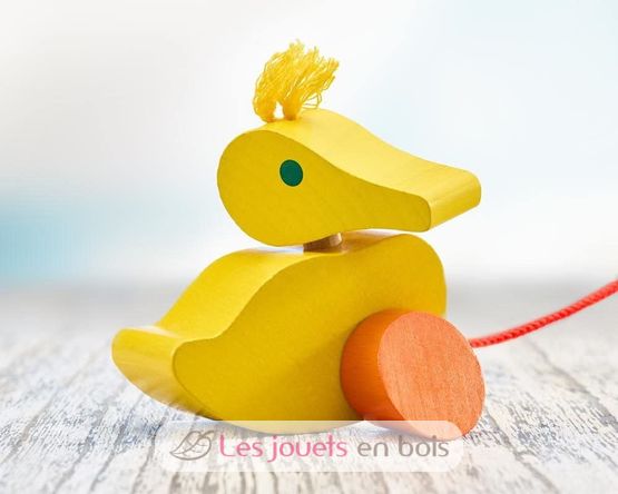 Canard à tirer SE1121 Selecta 5