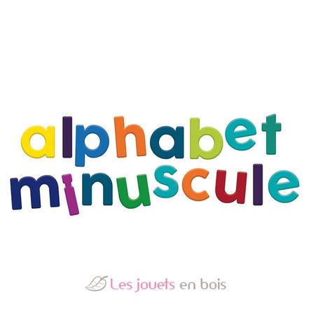 Magnets alphabet minuscule 80 pcs V6706 Vilac 2