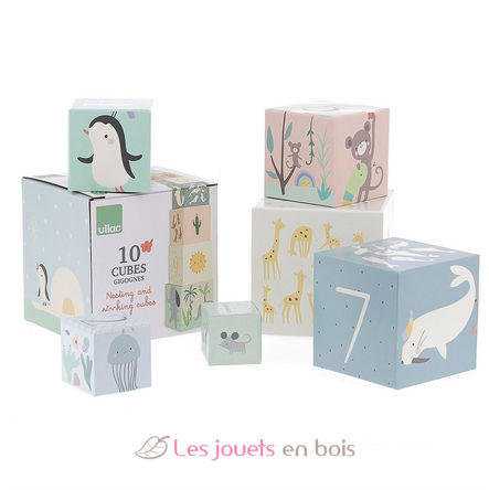 Cubes gigognes Animaux du monde V7104 Vilac 2