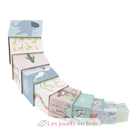 Cubes gigognes Animaux du monde V7104 Vilac 4