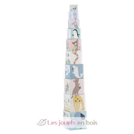 Cubes gigognes Animaux du monde V7104 Vilac 5