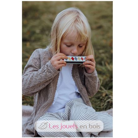 Harmonica Arlequin As-83656 Mamamemo 2