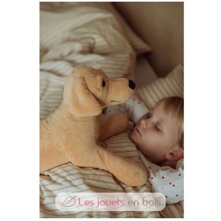 Chien en peluche lesté 2,2 kg As-84680 ByAstrup 3