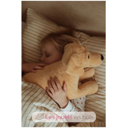 Chien en peluche lesté 2,2 kg As-84680 ByAstrup 4