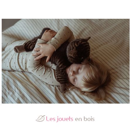 Chat en peluche lesté 1,2 kg As-84684 ByAstrup 4