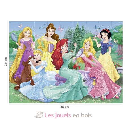 Puzzle Rencontre avec les princesses Disney 45 pcs RAV86537 Nathan 2