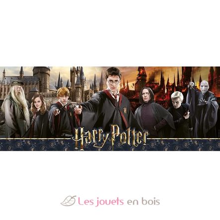 Puzzle Guerre des sorciers Harry Potter 1000 pcs N87642 Nathan 4