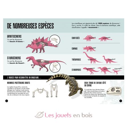 L'ère des dinosaures - Le Tricératops SJ-9050 Sassi Junior 6